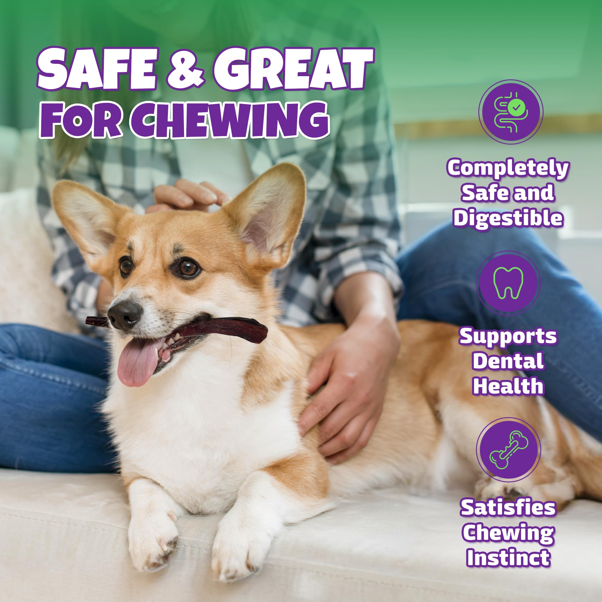 Plan rapproché des bâtonnets Lively Tails, texture naturelle pour chiens moyens.