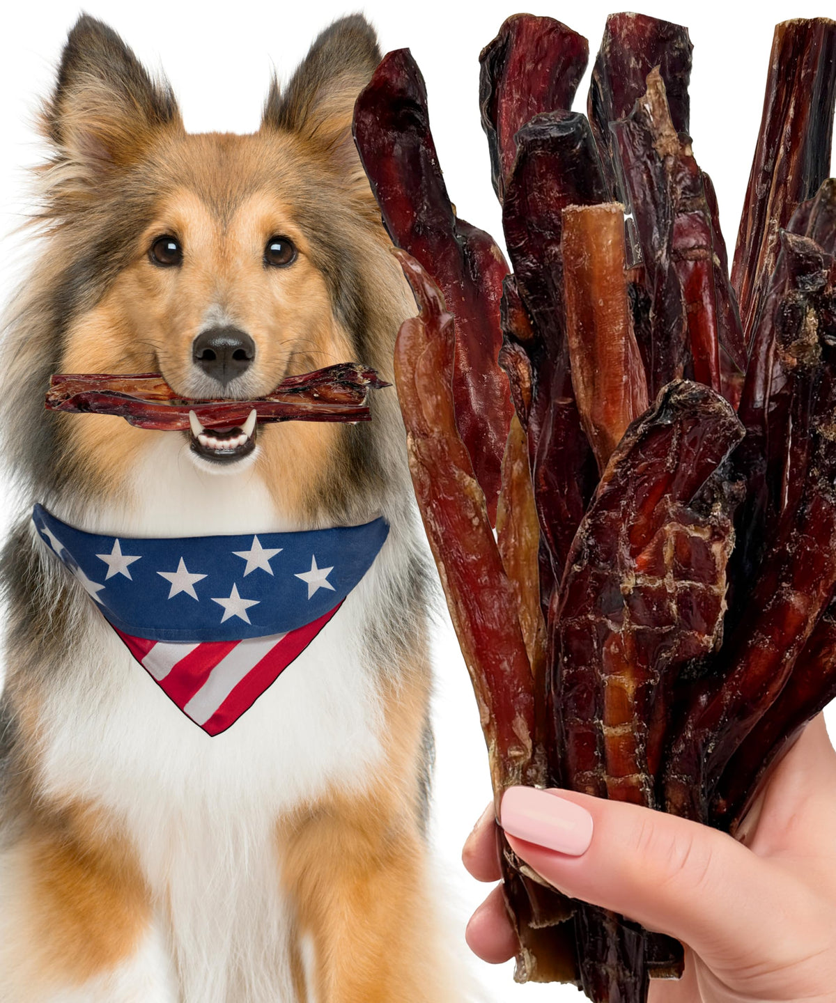 Bâtonnets Lively Tails au bœuf pour petits chiens, goût naturel et sans additifs.