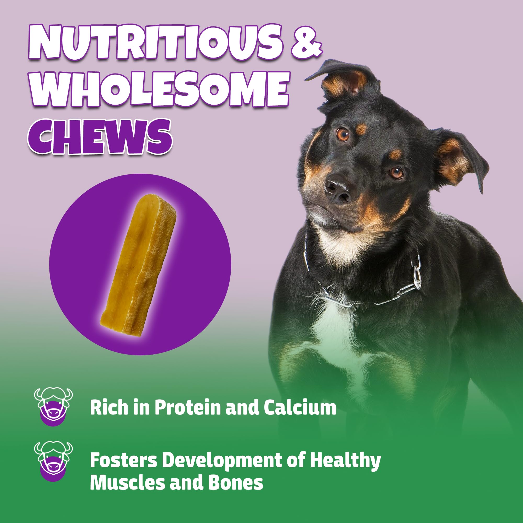 Lively Tails Himalayan Chew – chien grand utilisant une mastication soutenue