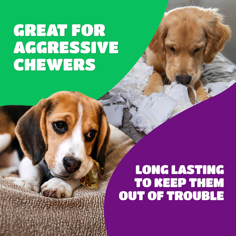 Lively Tails Os Genou Boeuf Chien moyen: plaisir durable et satisfaisant