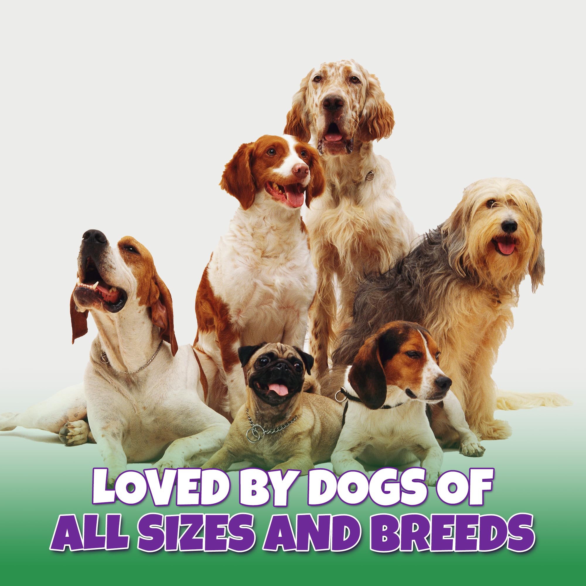 Lively Tails os moelle image chien 6: idéal pour toutes les tailles de chien.