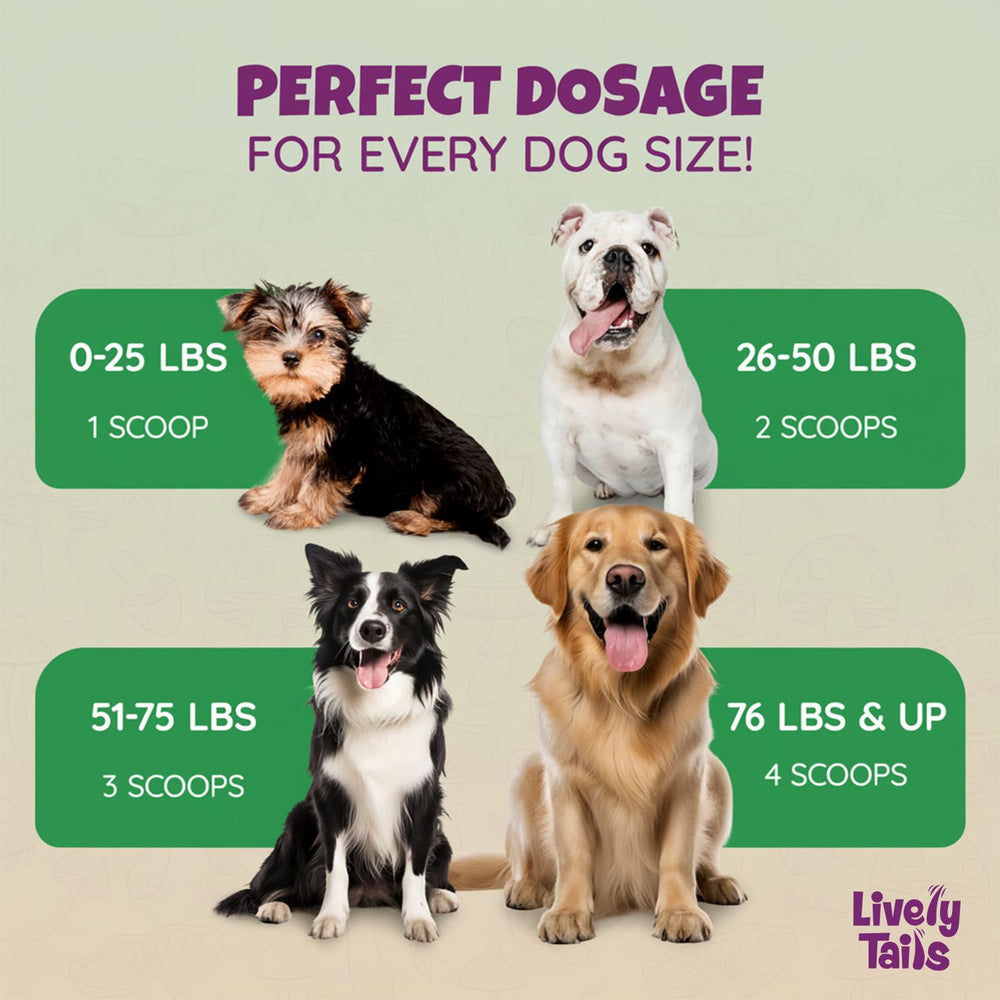 Lively Tails poudre queue-de-dinde veterinaire-approbation: formule soutenue par les professionnels.