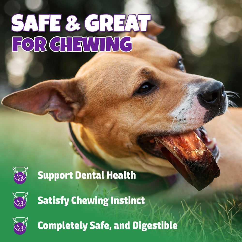 Trachée Lively Tails pour chiens allergiques, sans boeuf, alternative savoureuse.