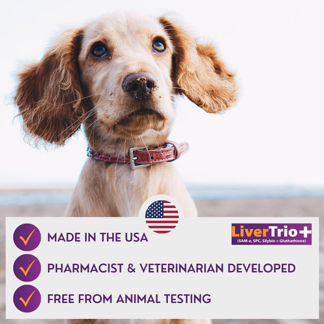 LiverTrio+ étiquette démontrant qualité pharmaceutique