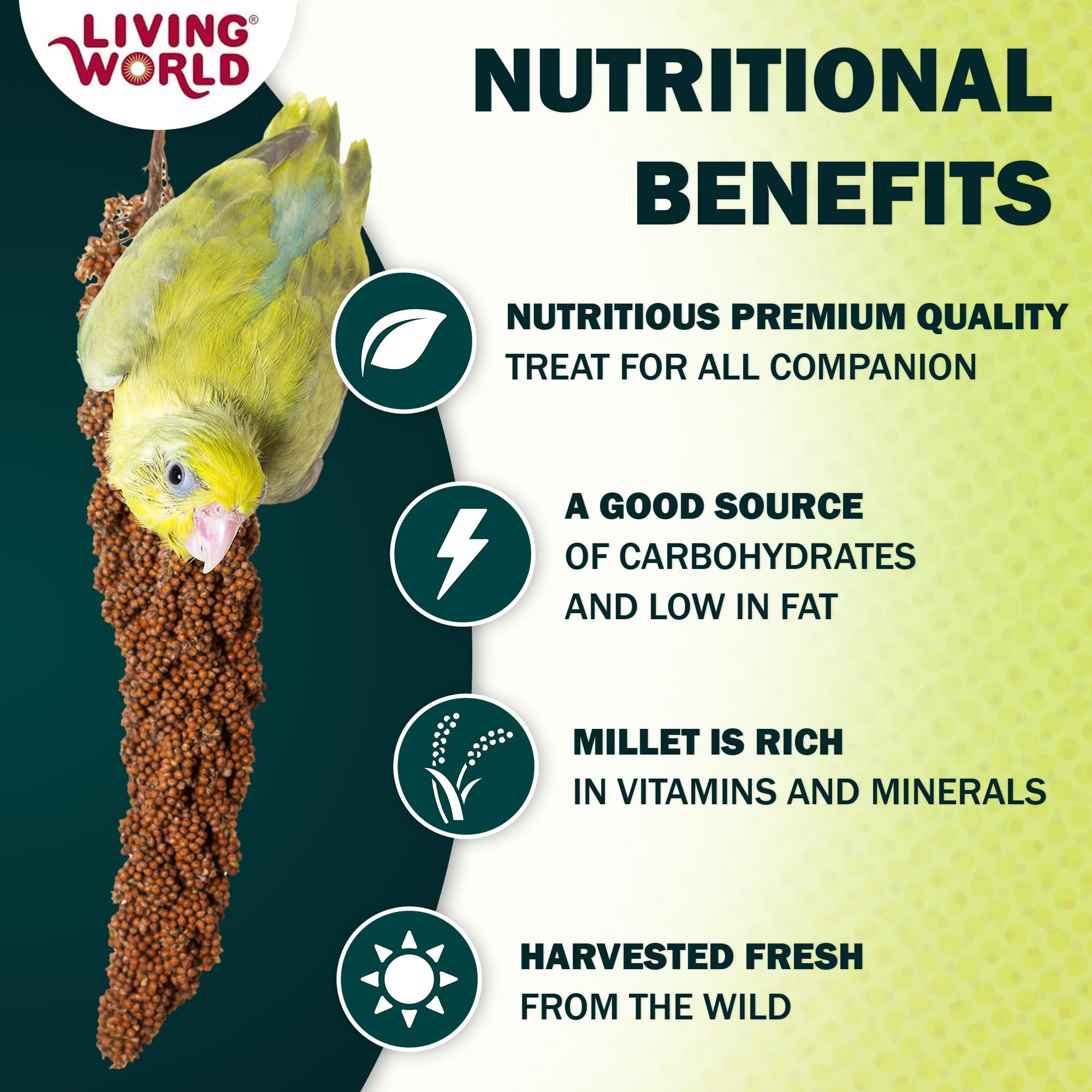 Living World Millet Spray: conserve fraîcheur naturelle pour perruches et canaris, sans additifs.
