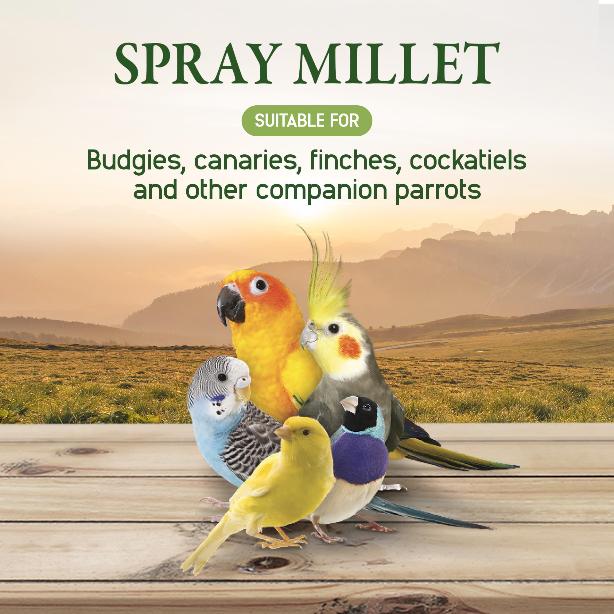 Living World Millet Spray – origine américaine, qualité assurée.