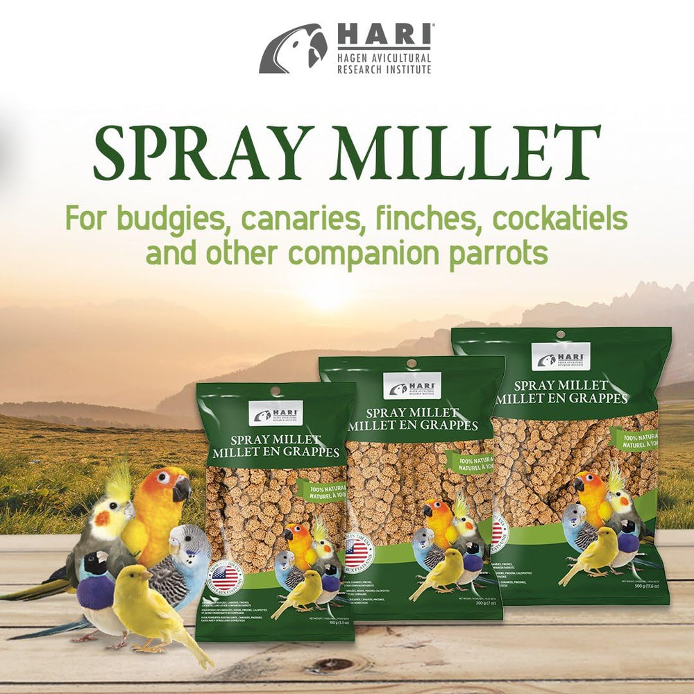 Living World Millet Spray – graines croustillantes favorisant l’enrichissement alimentaire.