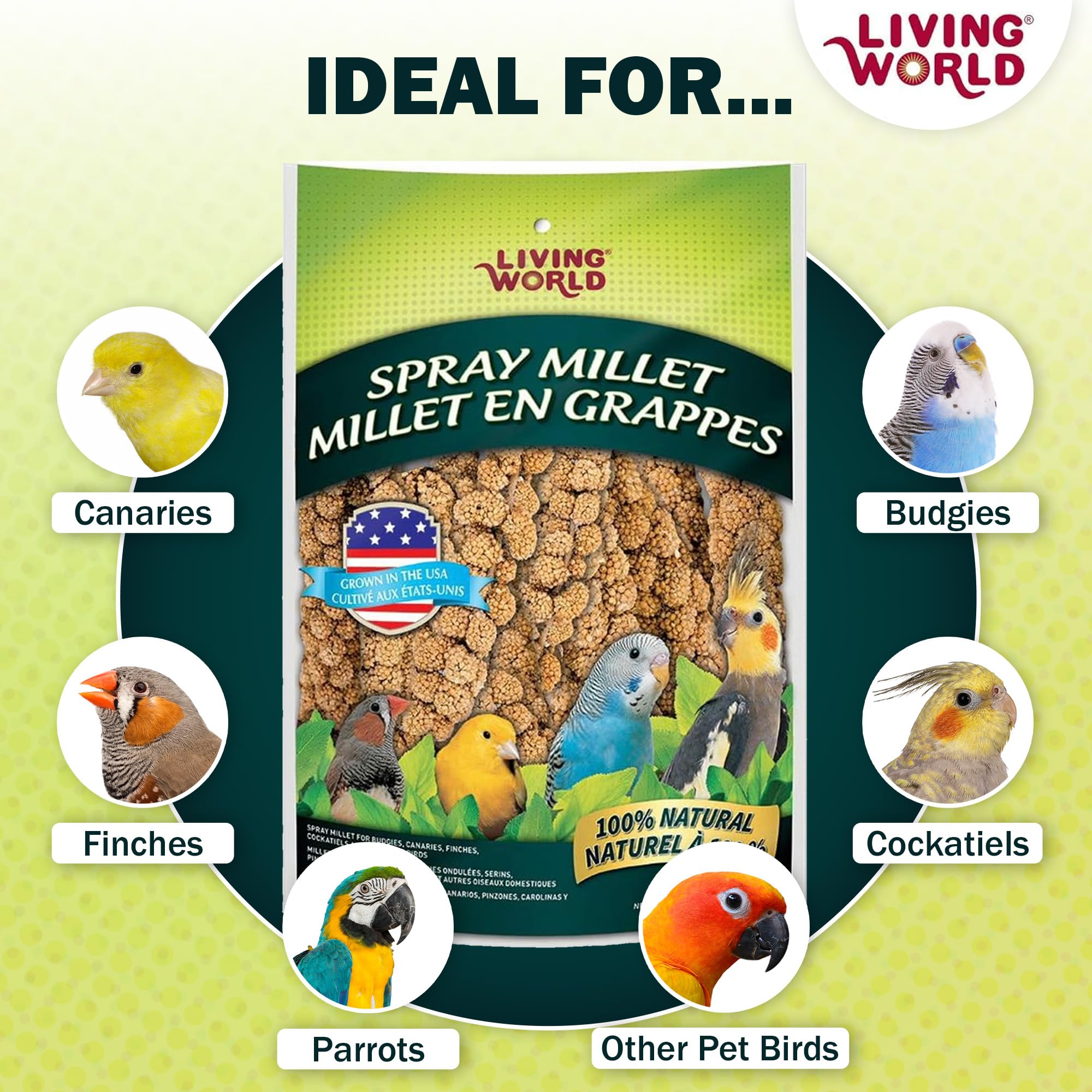 Living World Spray Millet riche en nutriments pour le bien-être quotidien de l'oiseau.