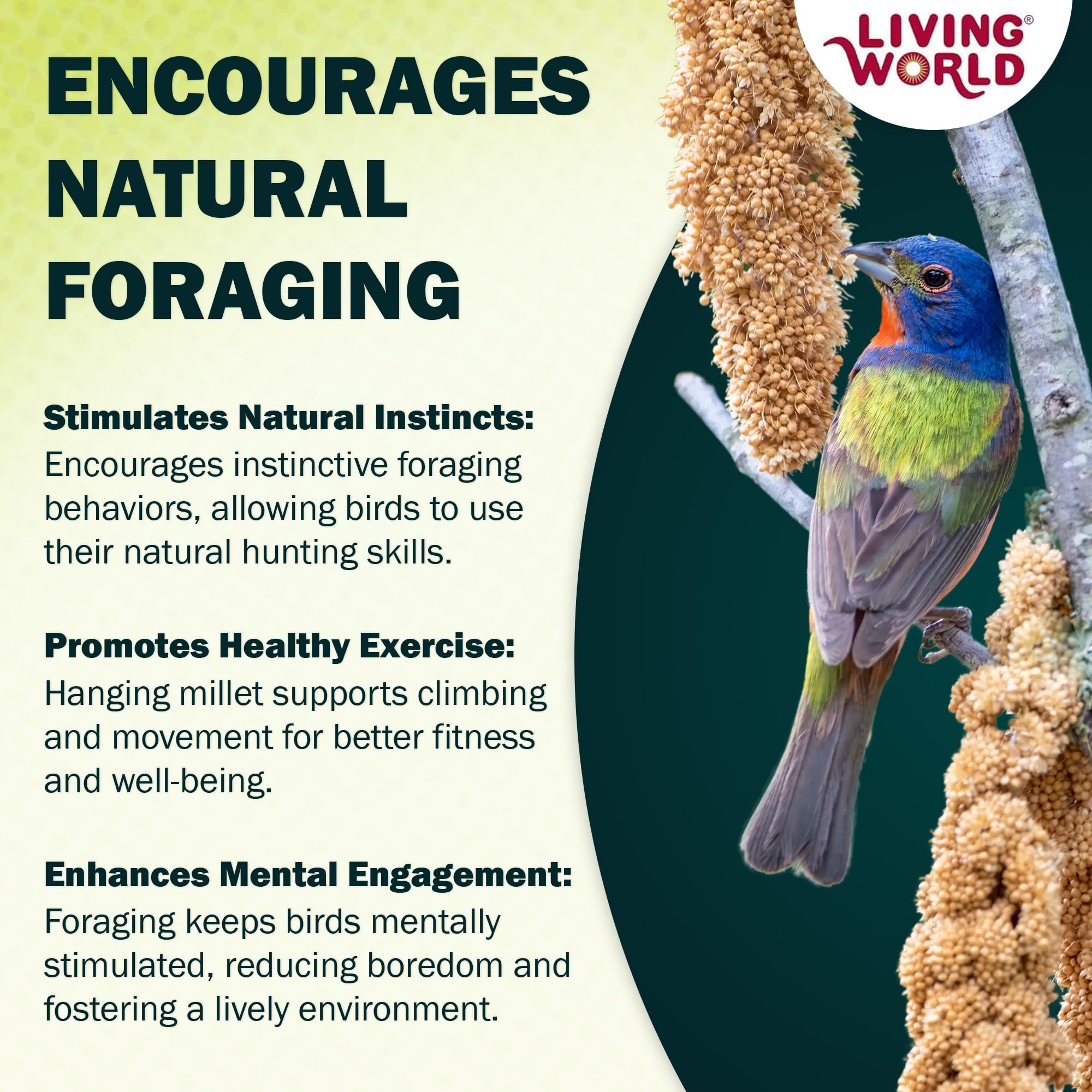 Living World Spray Millet – pièces longues incitent à picorer et à jouer.