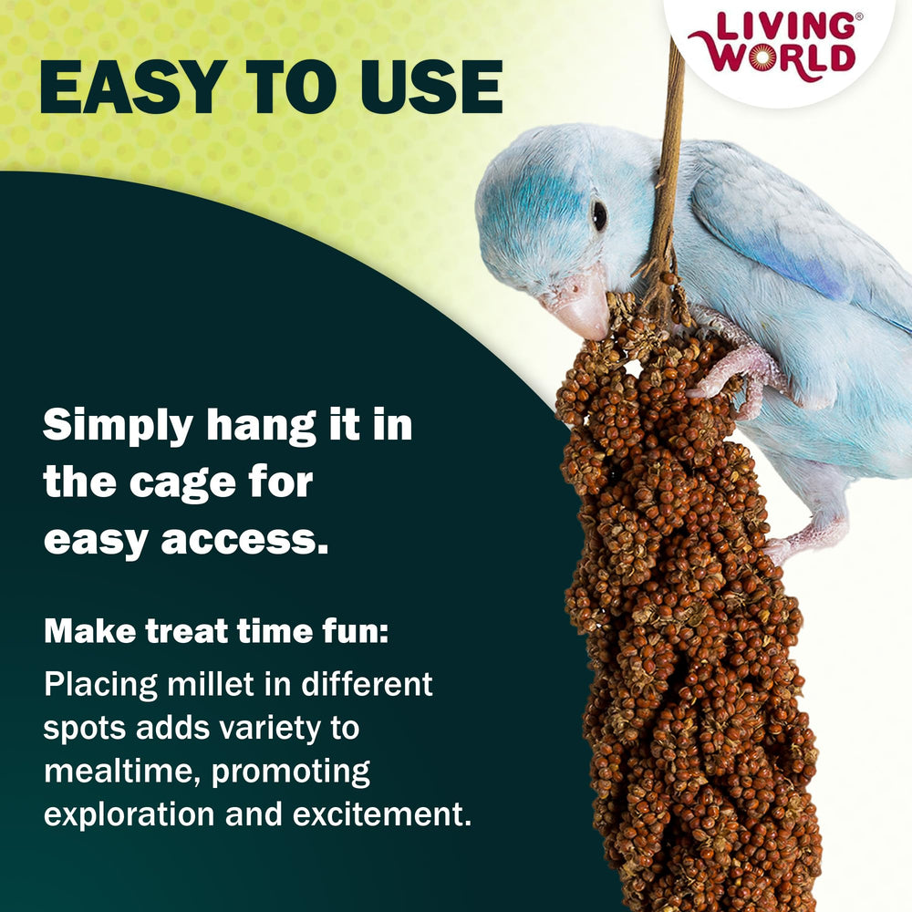 Living World Spray Millet – source naturelle de gourmandise sans produits chimiques.