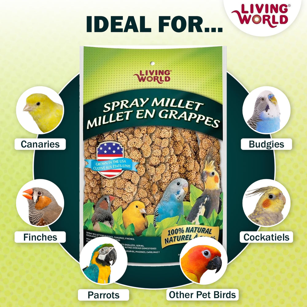 Living World Spray Millet – usage cage pour activités quotidiennes et grignotage sain.