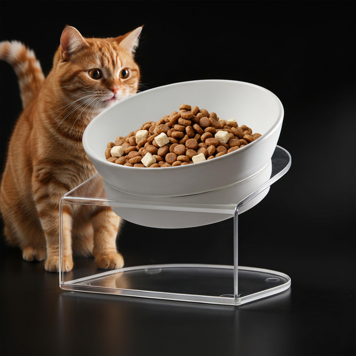 Bol LivLab Mker elevé avec support pour une posture confortable au repas
