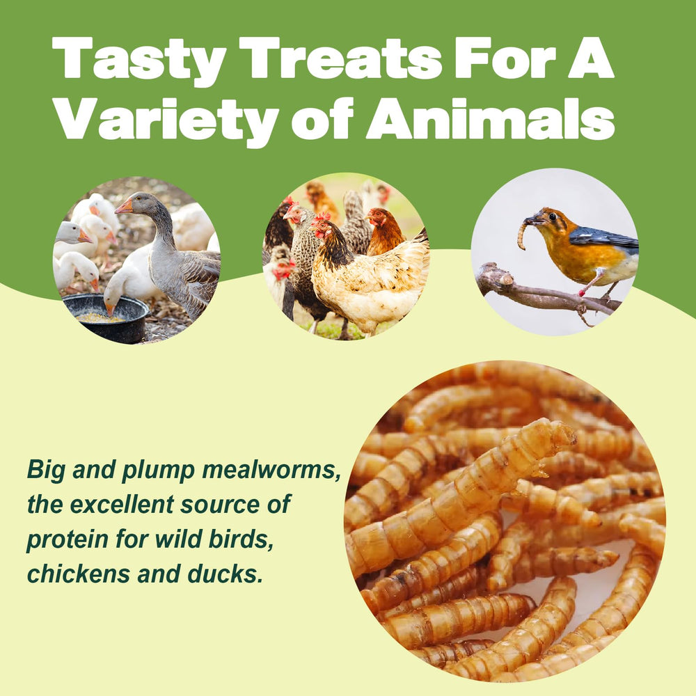 LIWII Dried Mealworms, pour hamsters et reptiles, friandise pratique et nutritive.