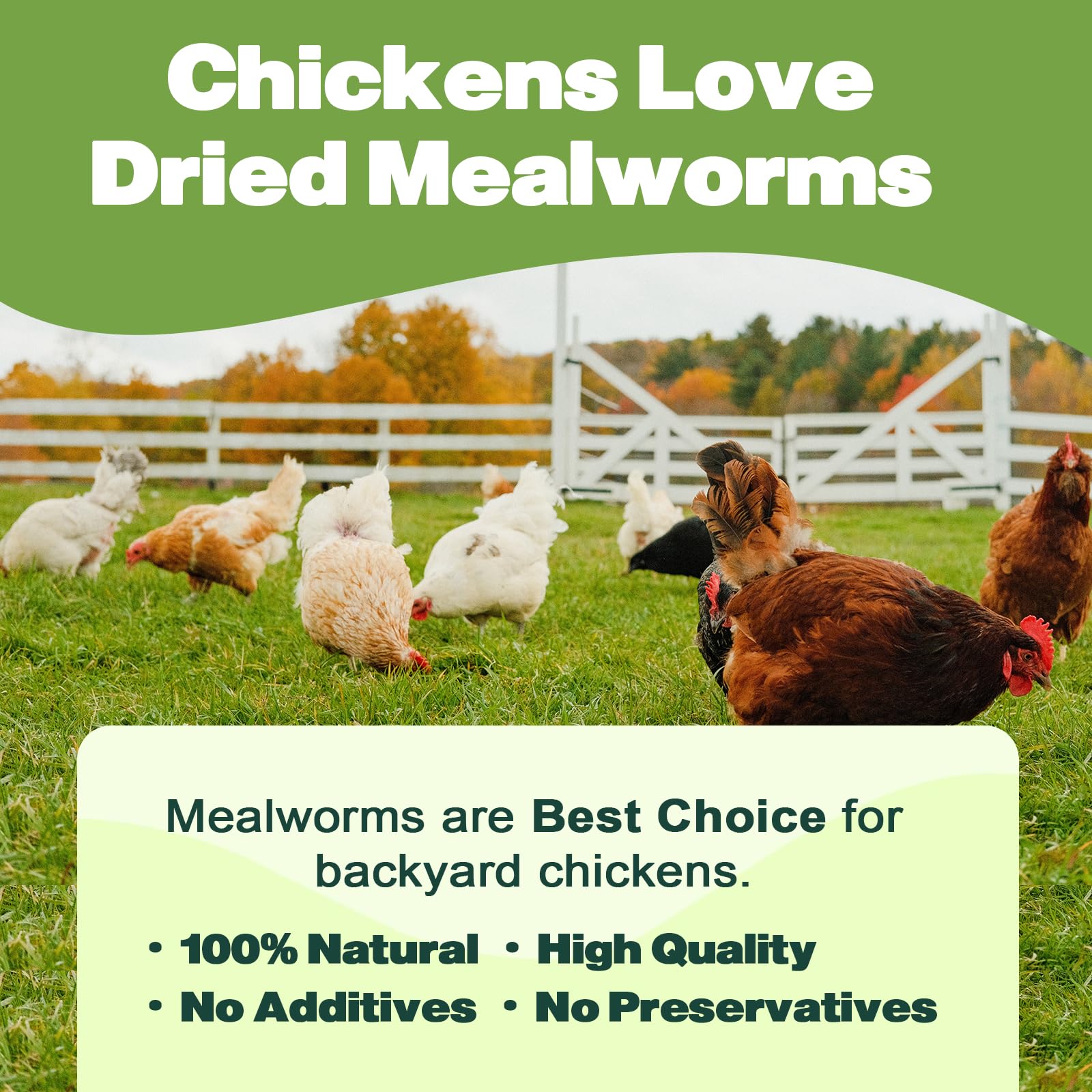 LIWII Dried Mealworms, sachet refermable, conservation et fraîcheur faciles.