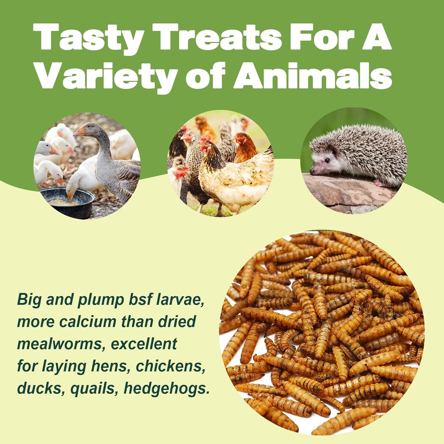 LIWII – emballage en vrac 80oz, option économique pour nourrir plusieurs animaux.