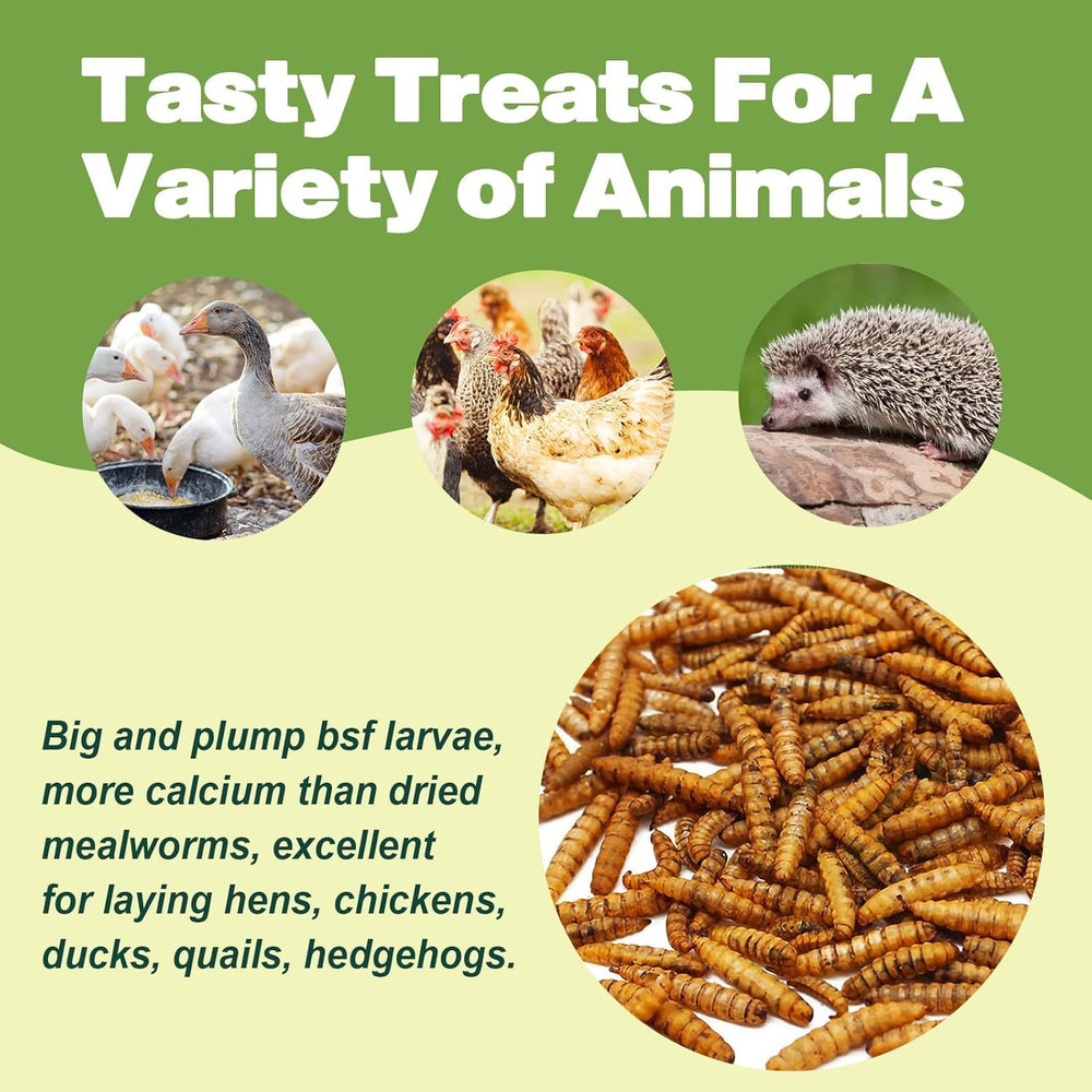 LIWII – emballage en vrac 80oz, option économique pour nourrir plusieurs animaux.