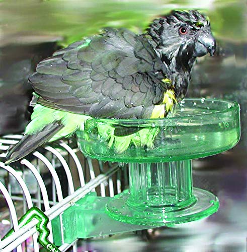 Polyvalence: bain et accès à l'eau dans une cage