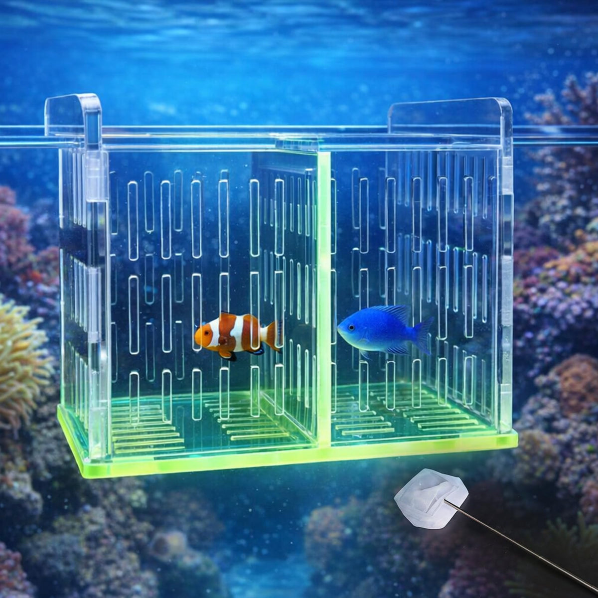 LIYAOLI: boîte d'élevage accrochée, installation rapide sur l'aquarium.