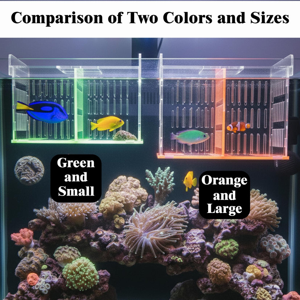 Cloisons colorées orange et vert LIYAOLI apportant un intérêt visuel sous l’éclairage.