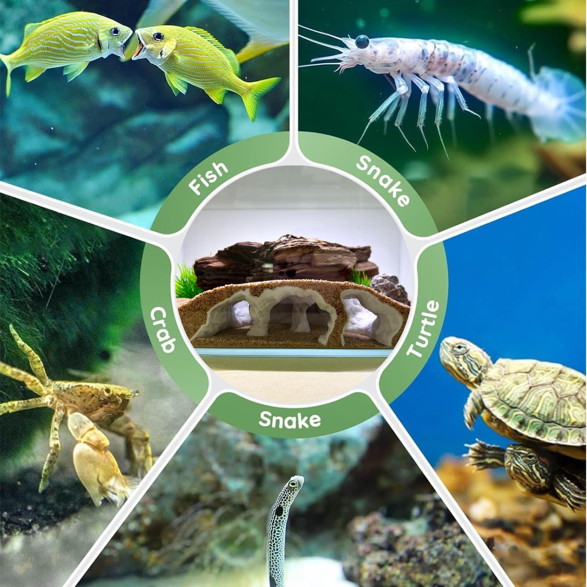 LIYAOLI grotte aquarium 3D base submergée et stable pour placement facile