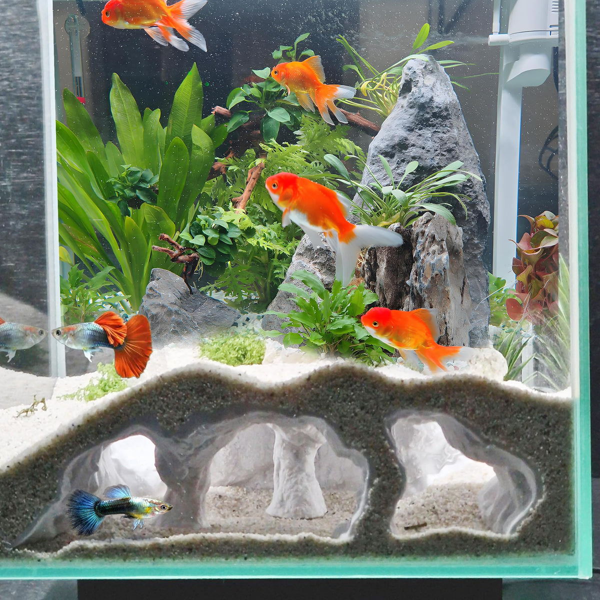 LIYAOLI grotte aquarium 3D avec ouvertures latérales pour observation facile des poissons