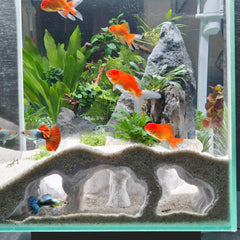 LIYAOLI grotte aquarium 3D avec ouvertures latérales pour observation facile des poissons