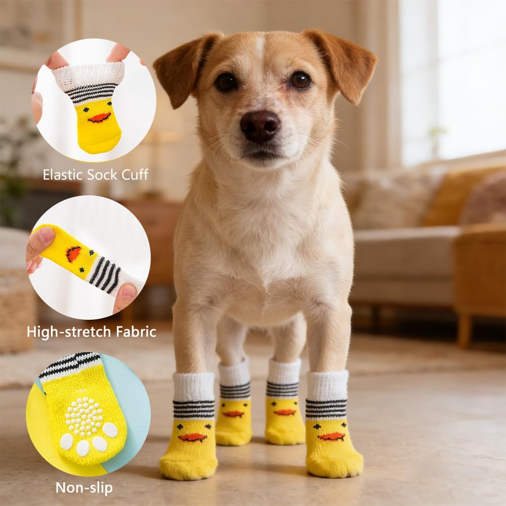 Protection des pattes contre débris et sols froids avec Liyujuping.