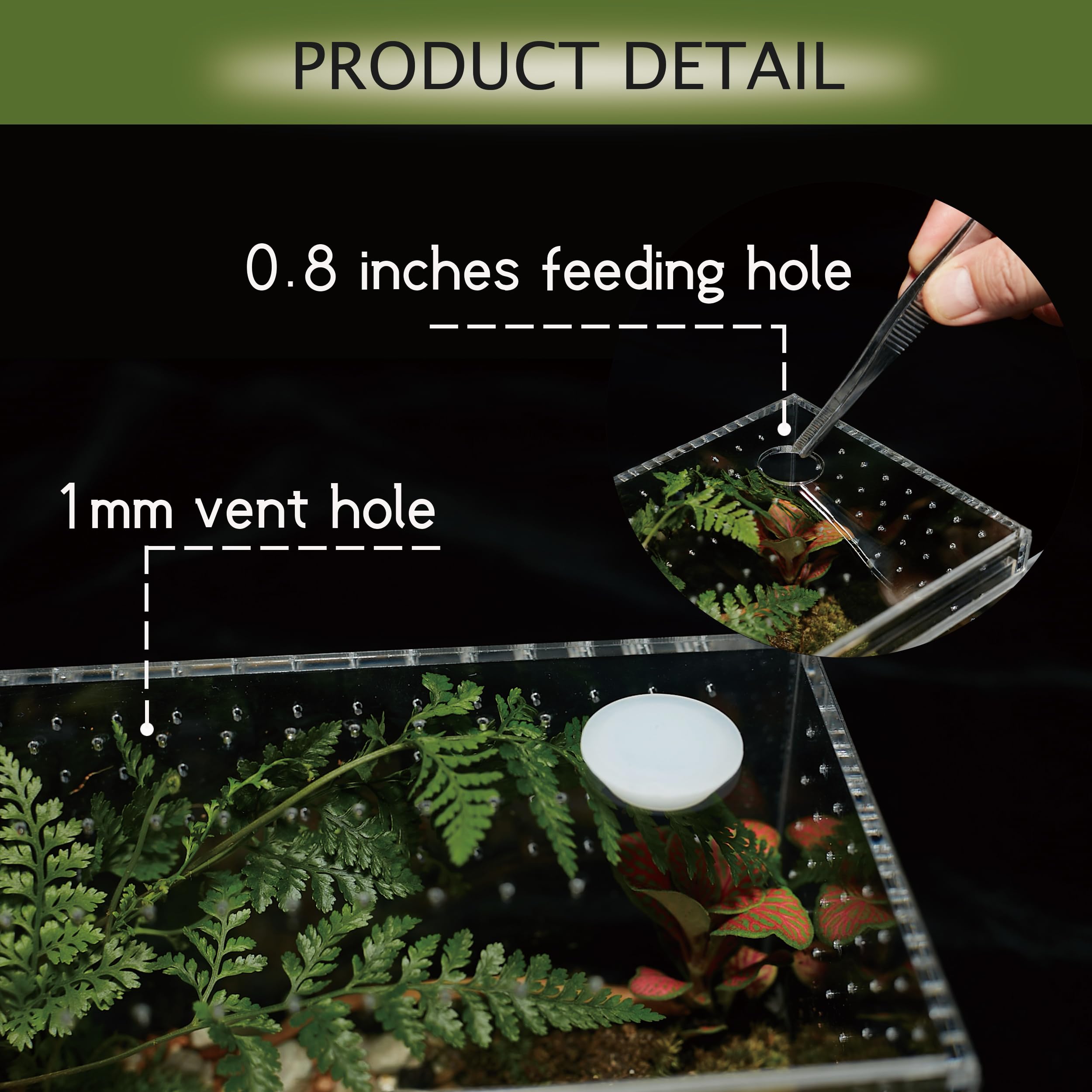Conception étanche LIZ QNNALY adaptée à l'humidité et aux habitats secs.