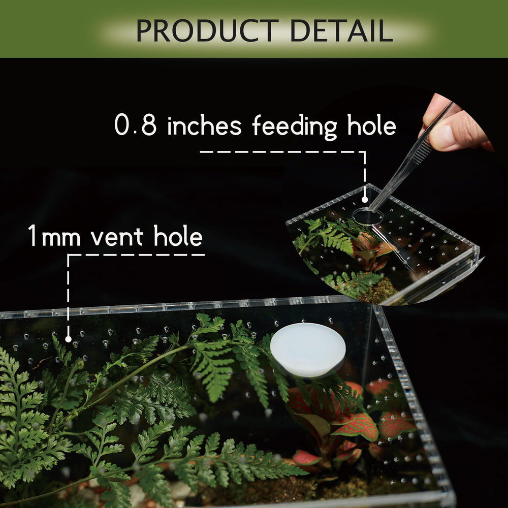 Conception étanche LIZ QNNALY adaptée à l'humidité et aux habitats secs.
