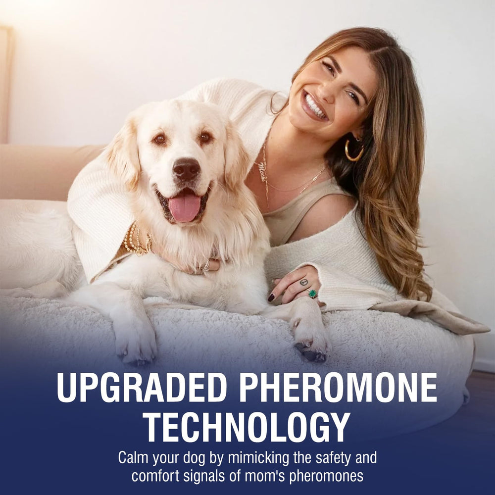 Confort nocturne et sommeil plus paisible pour votre chien.