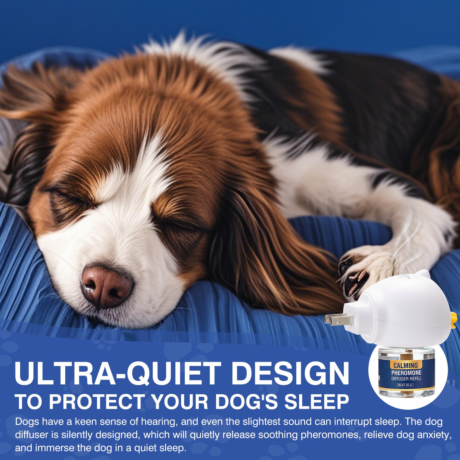 Diffusion nocturne: LKBHGF aide le chien à dormir paisiblement.
