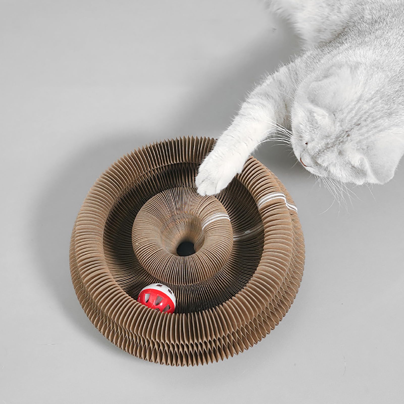 Lktvys Kitty Curlz, stimulation mentale pour chats d’intérieur.