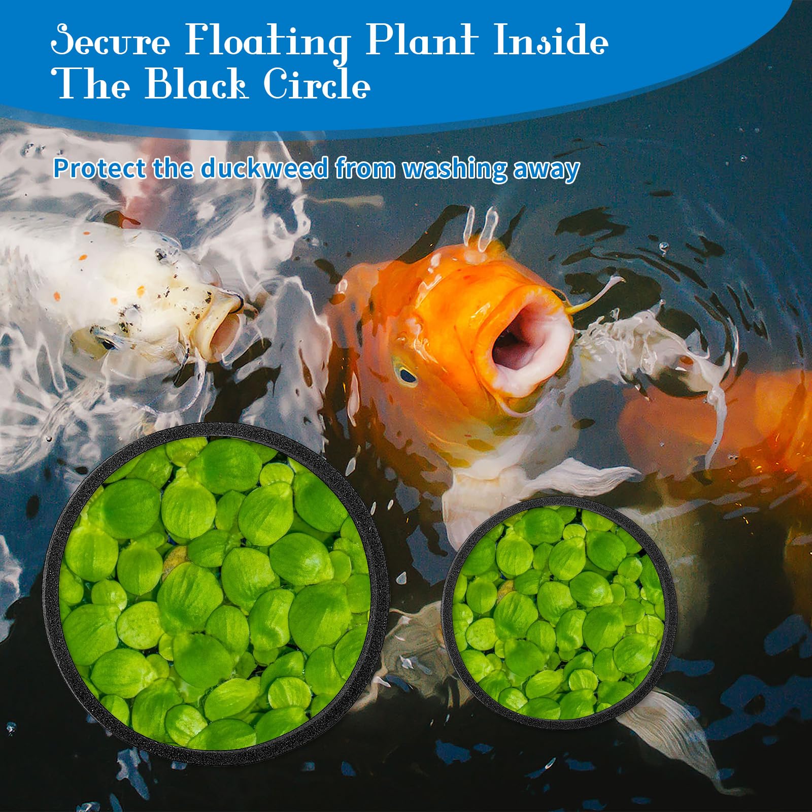 Cercle flottant LLOUSSAK pour plantes aquatiques, reste en surface