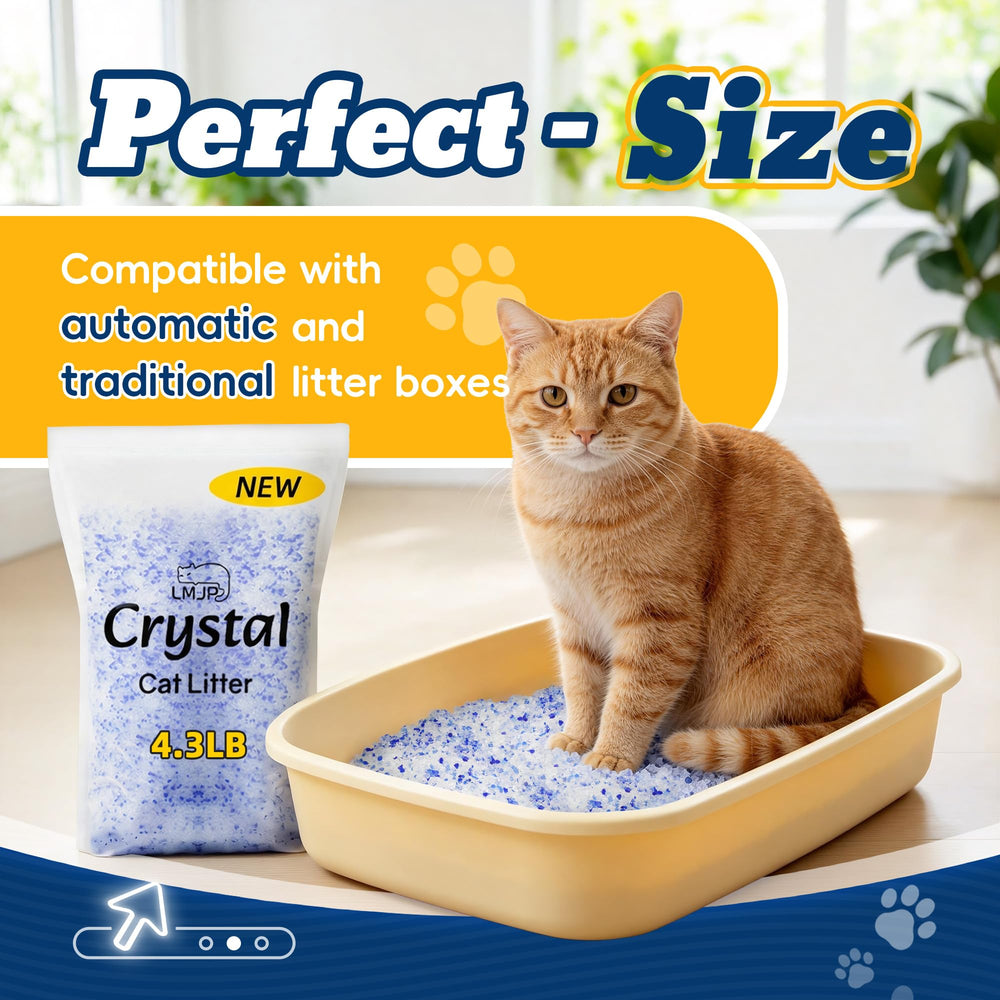 LMJP Crystal Litière ensemble 4 paquets pour économie
