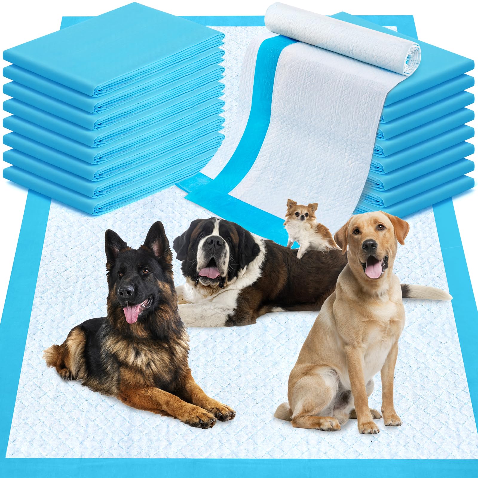 Tapis LNWJSRX 36x48, avant: espace généreux pour grandes races.