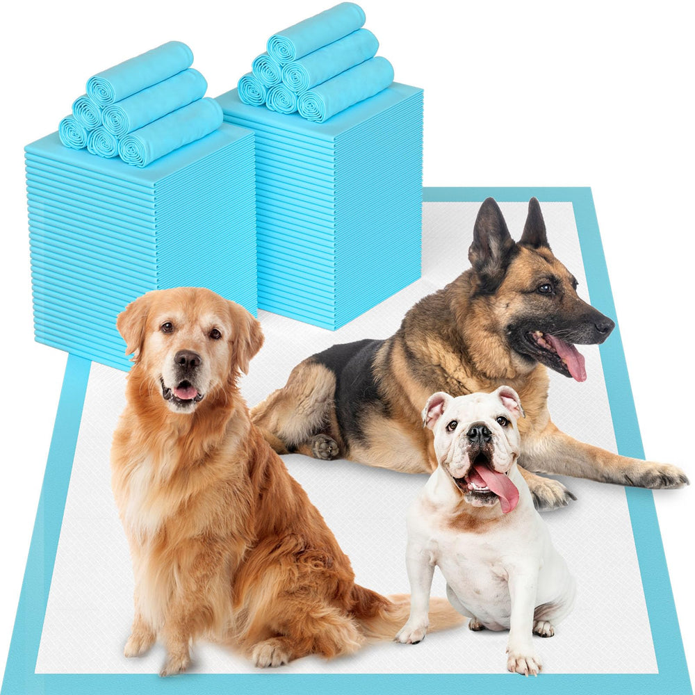 LNWJSRX tapis-pipi XXL 31x47, emballage prêt à utiliser pour l'entraînement.