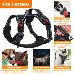 Lobeve bol pliable pratique pour hydrater votre chien en déplacement