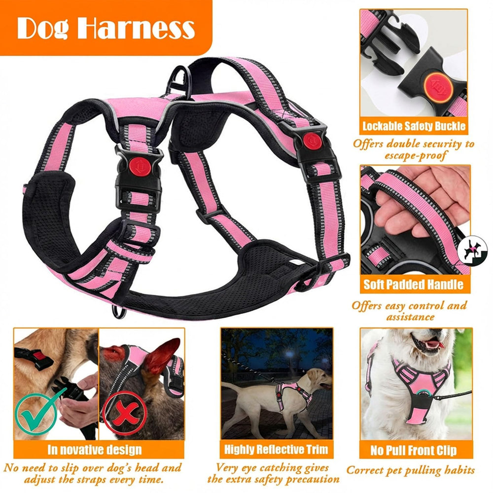 Ceinture de sécurité chien Lobeve, trajets en voiture plus sûrs.