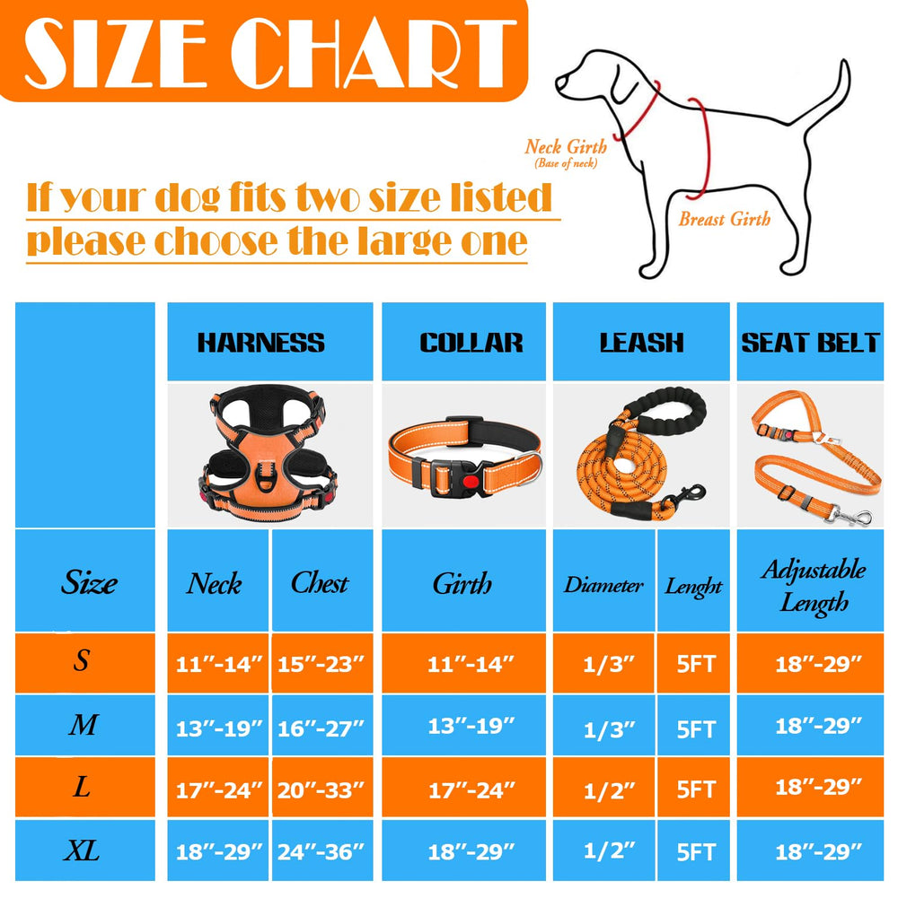 Collier chien orange Lobeve, visibilité et sécurité au quotidien.