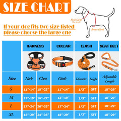 Collier chien orange Lobeve, visibilité et sécurité au quotidien.