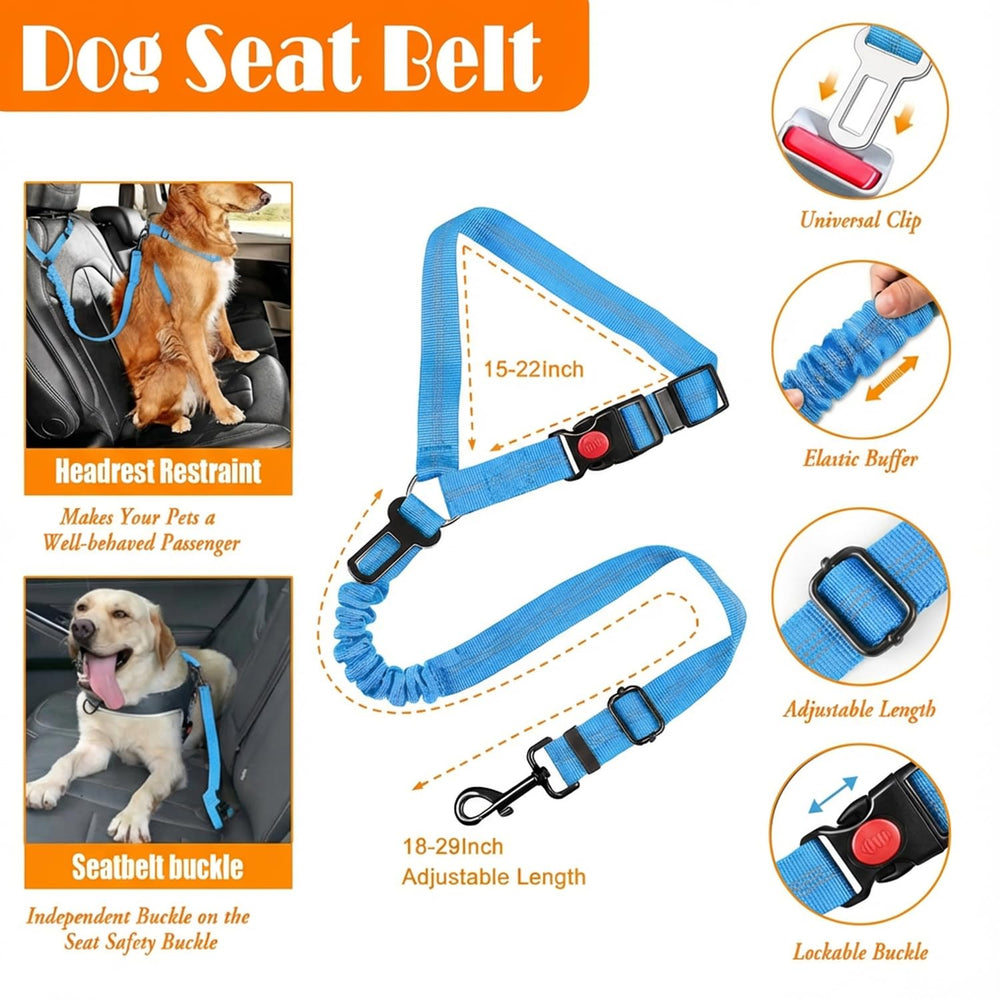 Kit polyvalent et coloré LOBEVE bleu adapté à tous les chiens