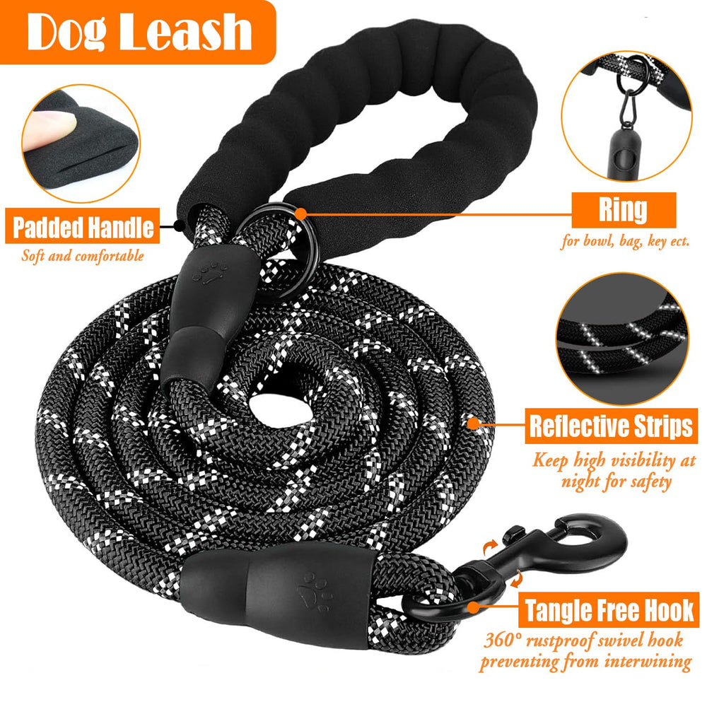 Gamelle portable Lobeve pour hydratation pratique en balade