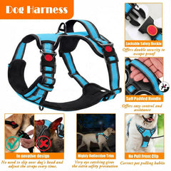 Gamelles pliables LOBEVE bleu, pratiques en déplacement pour boire et manger