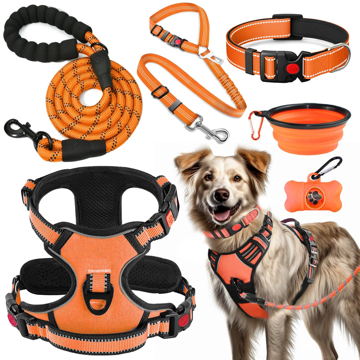 Harnais sans tirage Lobeve pour chien, confort optimal pendant les promenades.