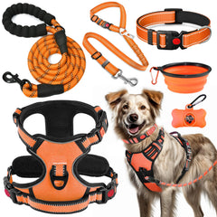 Harnais sans tirage Lobeve pour chien, confort optimal pendant les promenades.