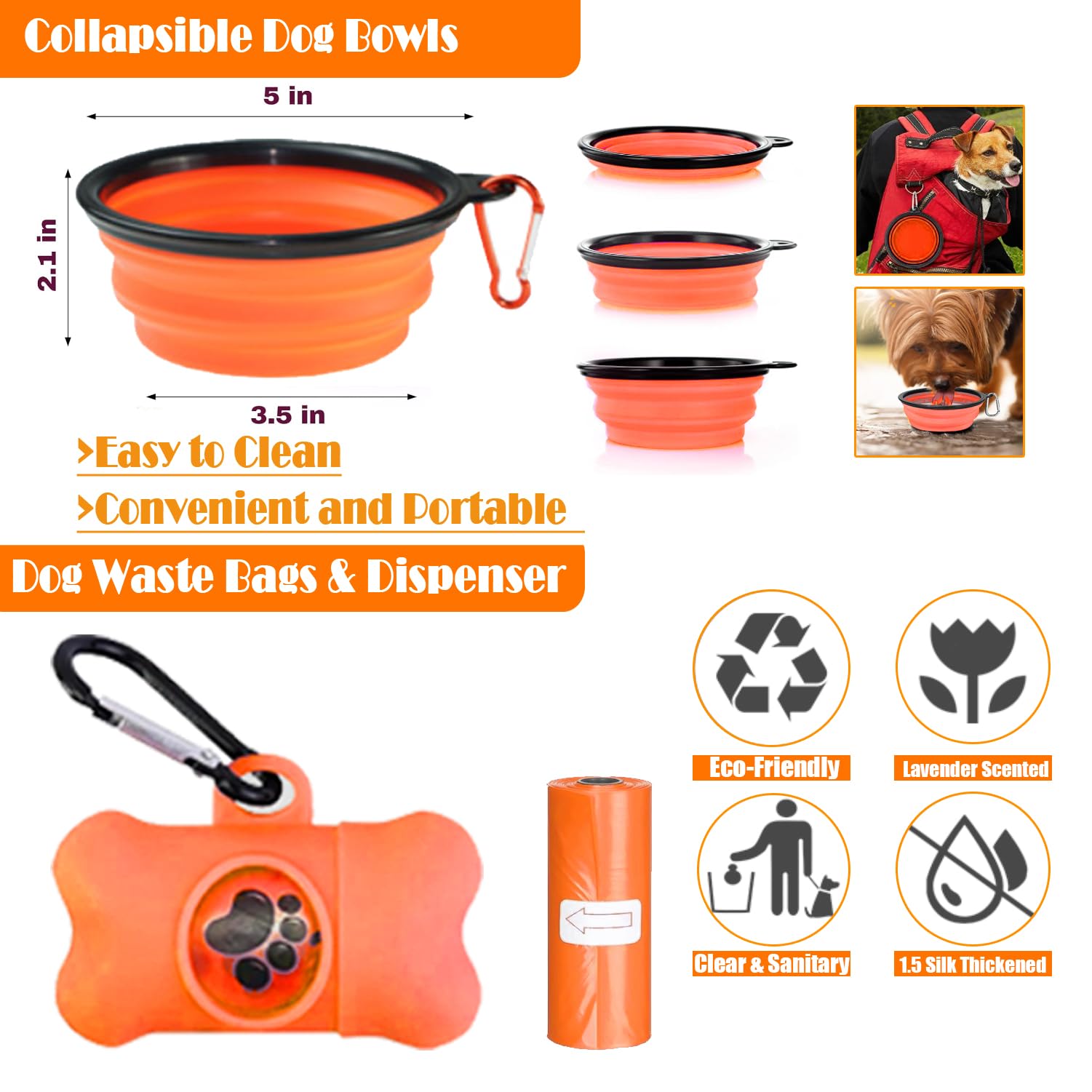 LOBEVE choix-couleurs: style et personnalite pour votre chien.