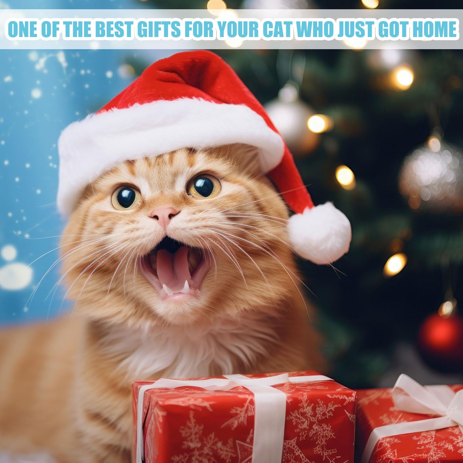 Locmeo kit chaton 15-jouets-chat : stimulation quotidienne et amusement