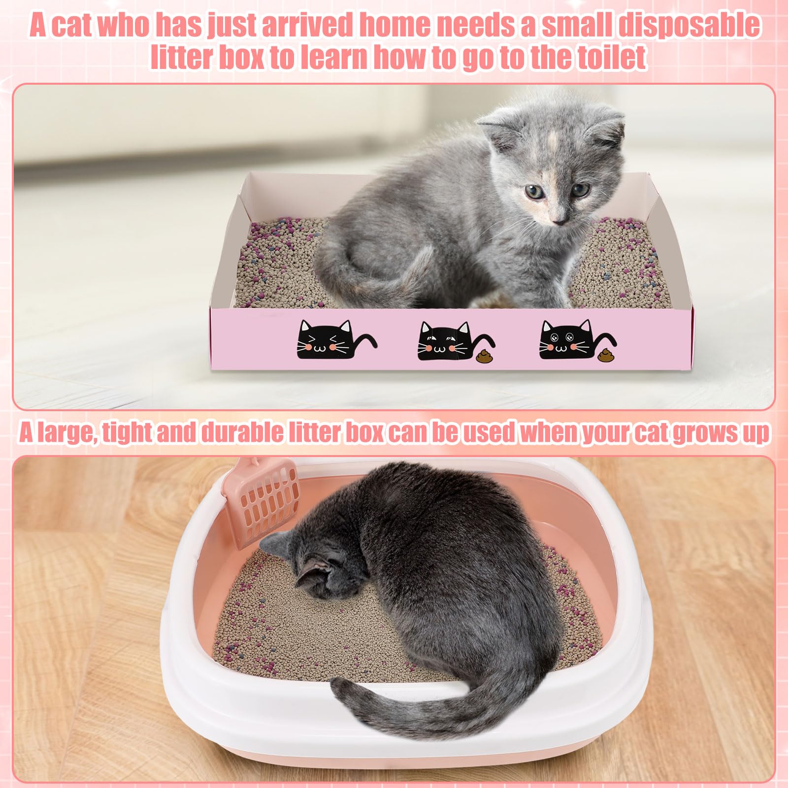 Locmeo kit-chat-hamac-ventouse: espace suspendu ludique et relaxant pour des moments de détente.
