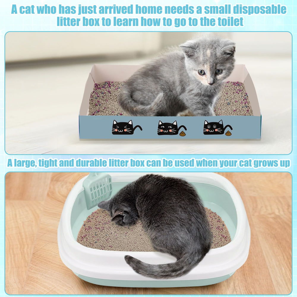 Locmeo kit chaton hamac-ventouse : espace détente en hauteur