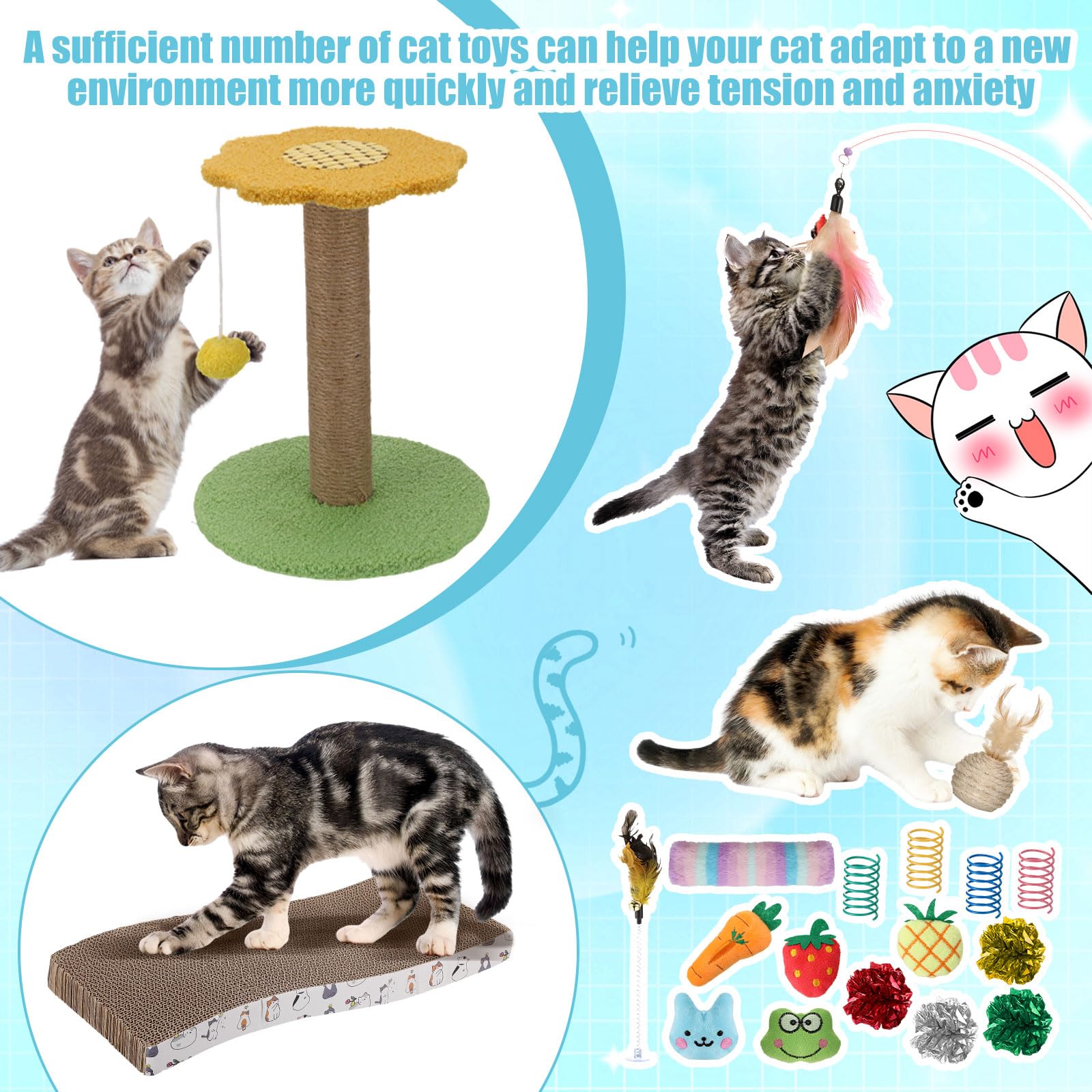 Locmeo kit chaton poteau-escalade : exercice et jeu à domicile